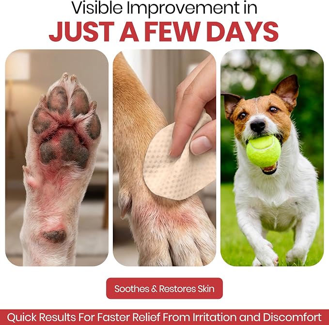 Chew + Heal Labs Dog Paw Wipes Antibacterial 100 Count - Antifungal Wipes for Dogs with 2% Chlorhexidine and 1% Ketoconazole - Good for All Breeds - Made in the USA