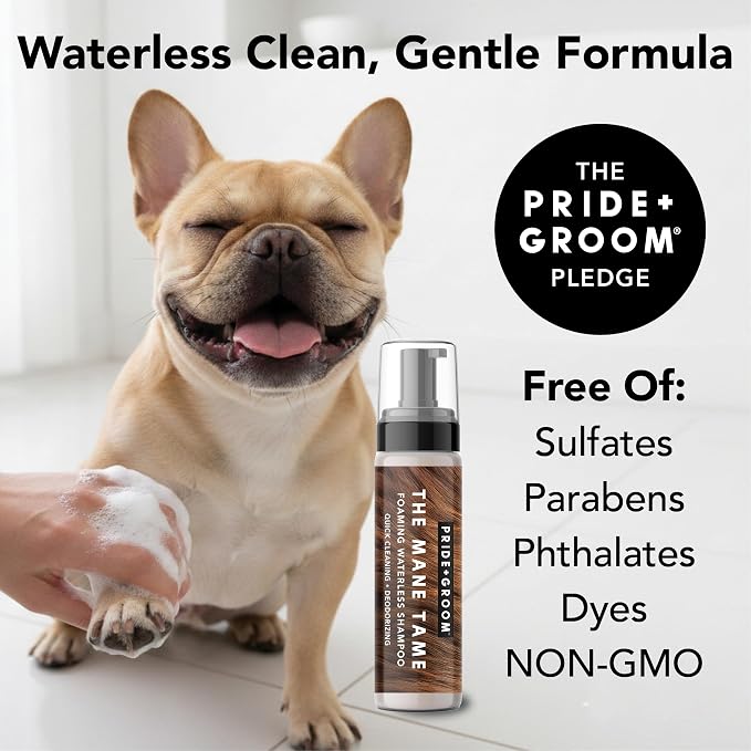 Pride and Groom The Mane Tame Dog Dry Shampoo – Waterless Foam for Dogs and Cats Made in USA for a Rinse Free Cleanse and to Eliminate Odor in Between Baths On-The-Go – 7.1 fl oz