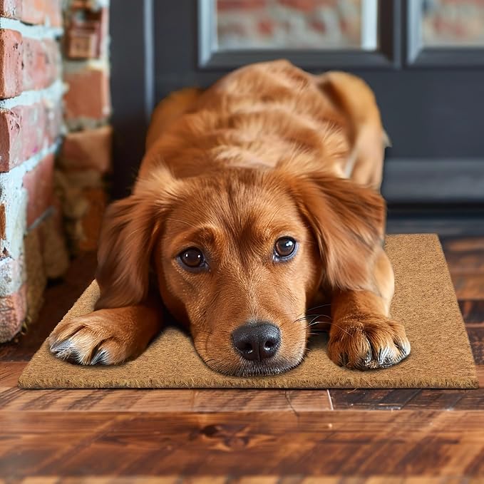 Croft&Cane Hello Welcome Doormat – Non-Slip Coco Coir Door Mat -Low Profile Vinyl Backed Front Door Mat for Indoor & Outdoor Use - Dirt Trapping High Traffic Porch & Patio Entryway - 17 x 30 Inches