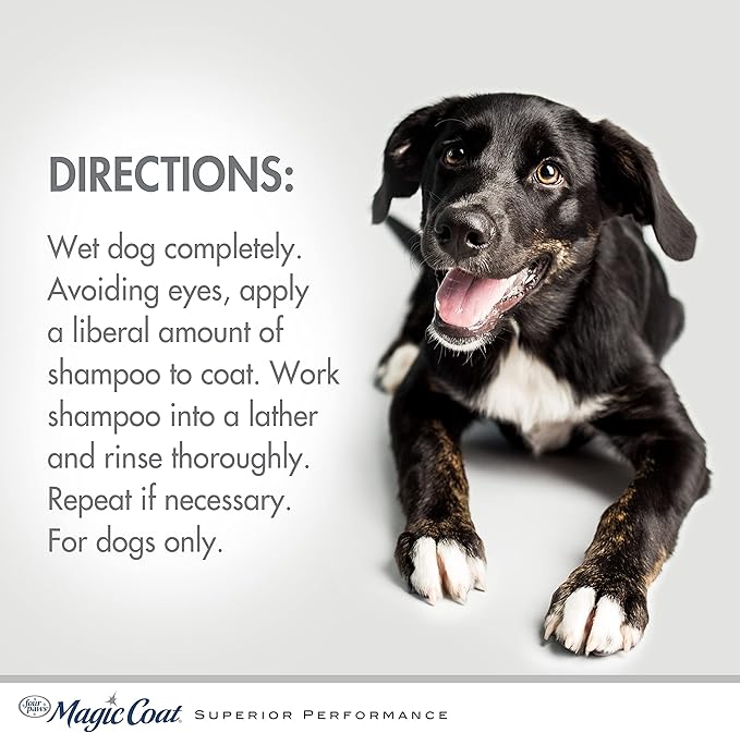 Four Paws Magic Coat Medicated Shampoo for Dogs with Coal Tar, Moisturizing Dog Wash for Itchy Dry Skin, Dog Grooming, Classic Clean Scent, 16 Ounce