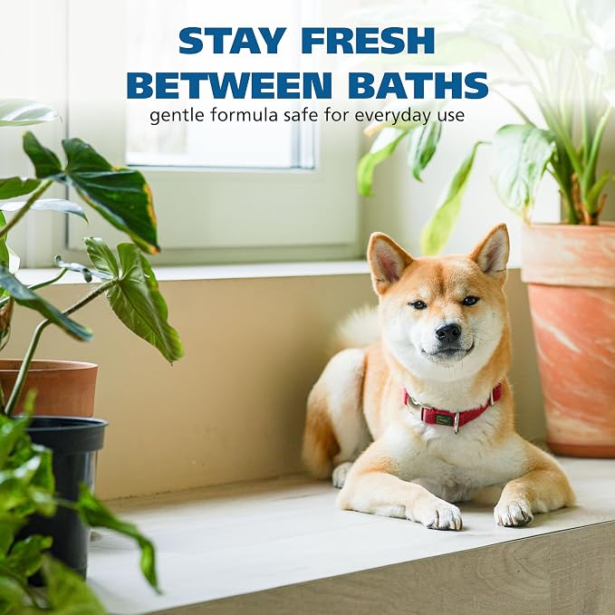 Wahl USA Pet Odor Neutralizing Mist for Dogs – Fast Acting Pet Odor Eliminator, Propellant-Free Mist that is Pet Safe & Environment Safe - Probiotic Formula, Fragrance Free – Model 3028687