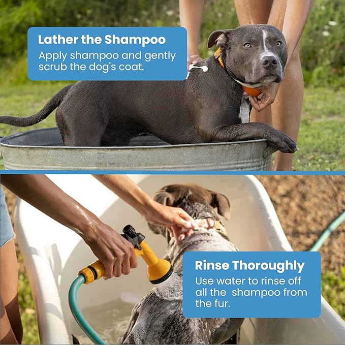 Project Sudz Medicated Dog Shampoo – Neem & Niaouli | Natural Medicated Liquid Shampoo for Dogs | Soothes Itchy Skin, Relieves Irritation, Eco-Friendly & Safe