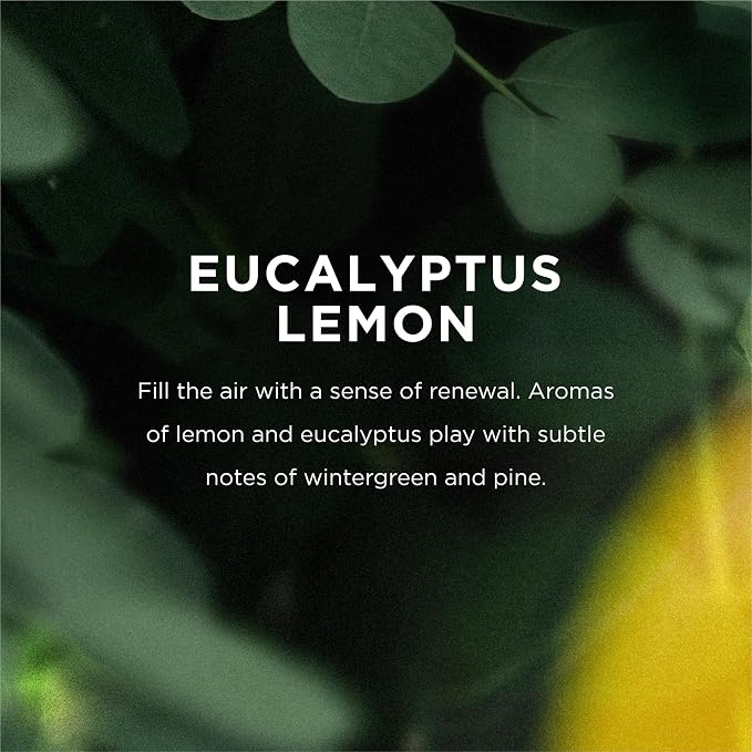 Eo, Bubble Bath Eucalyptus Lemon, 12 Fl Oz (Pack of 2)