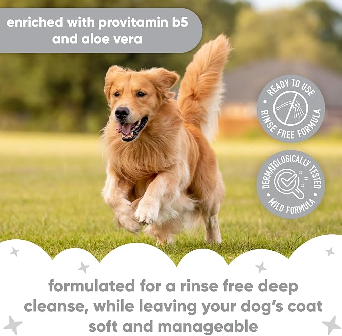 Buddycare Derma Sensitive Waterless Dry Dog Shampoo – No Rinse, Fragrance Free Formula for Sensitive Skin – with Aloe & Pro Vitamin B5 – pH Balanced, SLS & Paraben Free, Vegan & Cruelty Free