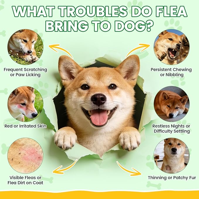 Flea & Tick Prevention for Dogs Chews – 500 Tasty Chicken Flavor Soft Chews, with Pumpkin Seed Extract, Fish Oil, and Vitamins for Dogs, Puppies, All Breeds & Ages.