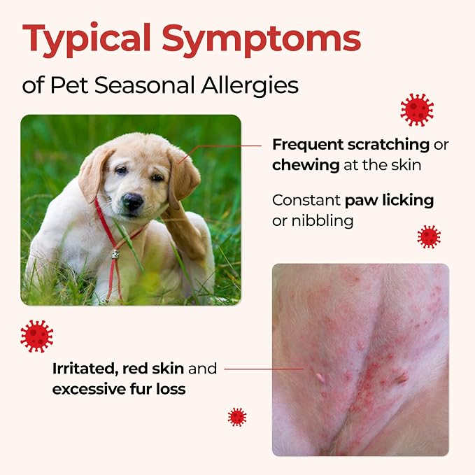 JAYU PET White Essence Mist - Dog Itch Relief, Hypoallergenic Soothing Spray, Dandruff & Dry Skin Spray (5.8fl oz, 170ml)