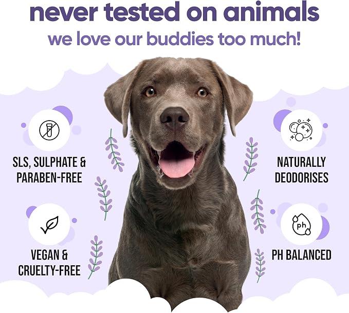 Calming & Deodorising Dog Shampoo by Buddycare | Lavender Scented | with Aloe Vera and Pro Vitamin B5 (169.07oz)