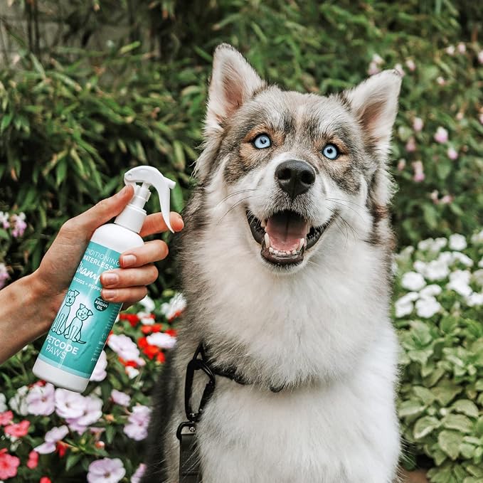 PETCODE PAWS Conditioning & Waterless Shampoo with Argan Oil for Dogs & Cats - Natural Formula with Vitamin-E & Aloe-Vera for No-Rinse Grooming & Dog Cleansing with Lavender Vanilla Cedar Sent - 300ML