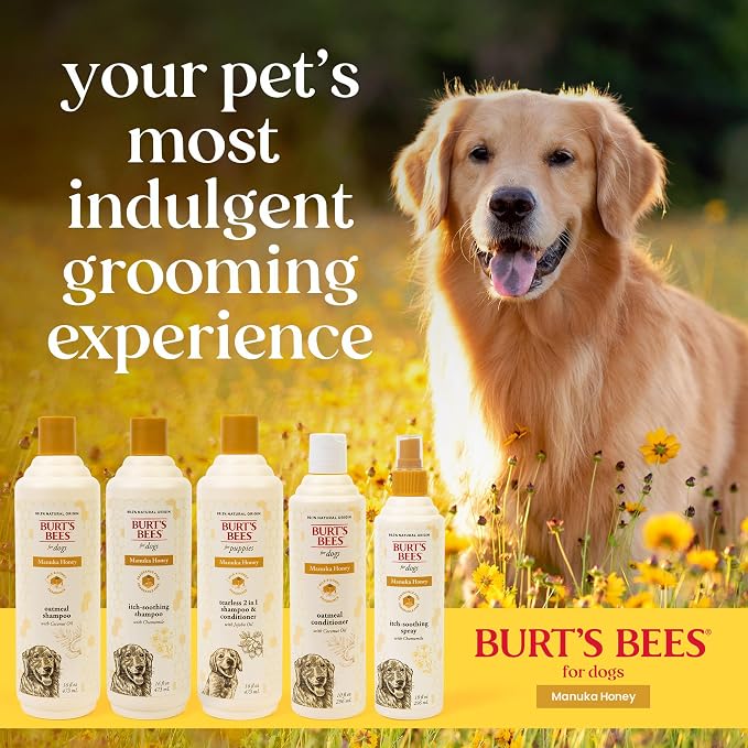 Burt's Bees for Pets Manuka Honey Oatmeal Conditioner for Dogs, Colloidal Oatmeal, 95%+ Natural Origin, No Sulfates, Parabens or Phthalates, Leaves Coat Soft & Shiny, Milk & Honey Scent, 10 Fl Oz