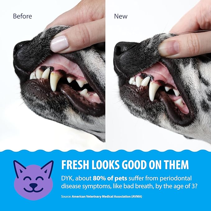 Veterinary Formula Dental Fresh Water Additive for Dogs and Cats, Advanced Plaque and Tartar Control, 32 Fl Oz