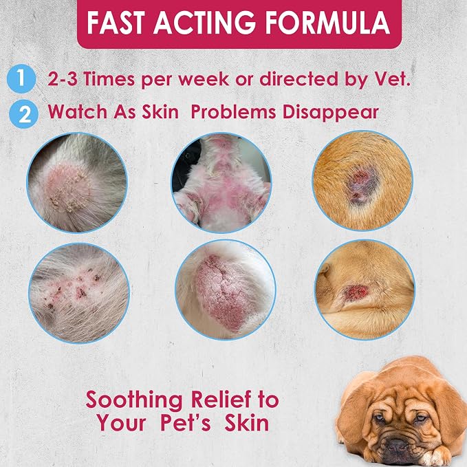 Truseb Chlorhexidine Shampoo for Dogs Cats & Horses with Aloe Vera - Antibacterial Antifungal Medicated Dog ketoconazole Shampoo and Conditioner -Skin Irritation, Hot Spots, Redness Relief (1 Gallon)