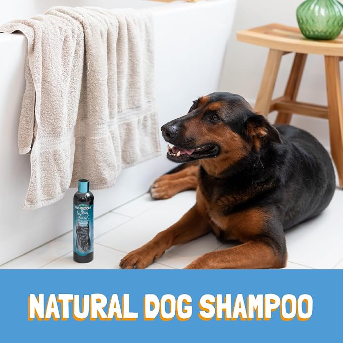 Bio-Groom Ultra-Black Dog Shampoo - Color Enhancing Pet Shampoo, Dog Bathing Supplies, Puppy Wash, Grooming Supplies, Cruelty-Free, Made in USA, Coat Brightener - 12 fl oz 1-Pack