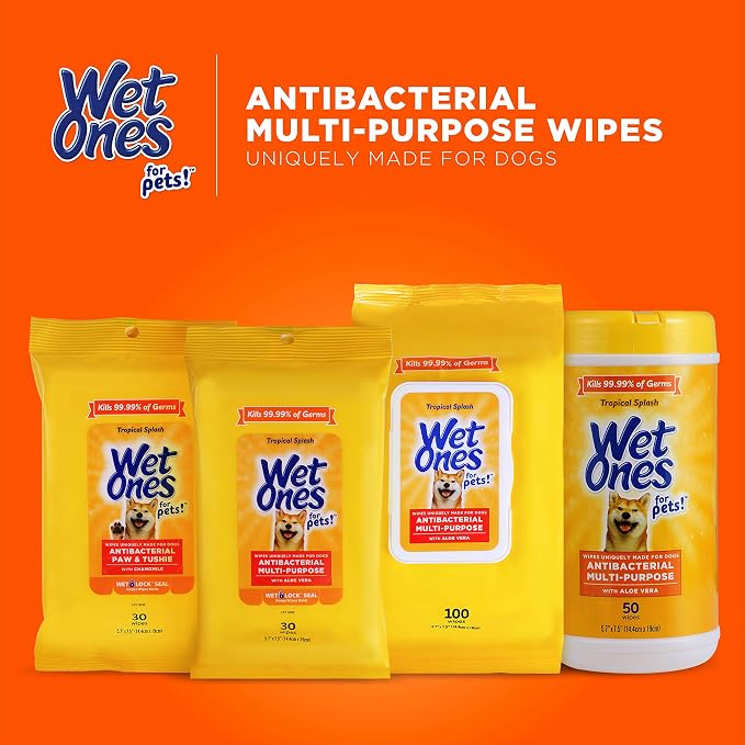 Wet Ones for Pets Multipurpose Dog Wipes with Aloe Vera, Tropical Splash Scent - Pet Bathing Wipes with Wet Lock Seal for Dog Paws and All-Over Use, 100 Count - 12 Pack