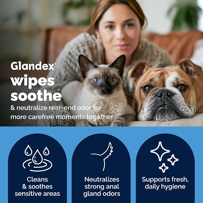 Vetnique Glandex Rear End Wipes for Dogs & Cats, Anal Gland Hygiene & Deodorizing Dog Wipes for Paws and Butt, Boot The Scoot with DeoPlex Enzyme, Aloe & Vitamin E (100ct)