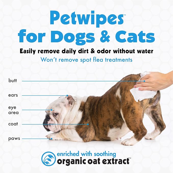 Petkin Large Pet Wipes for Dogs and Cats, 200 Count, Organic Oat Extract, Moistened with Gentle Cleaning Formula, Ideal for Home or Travel