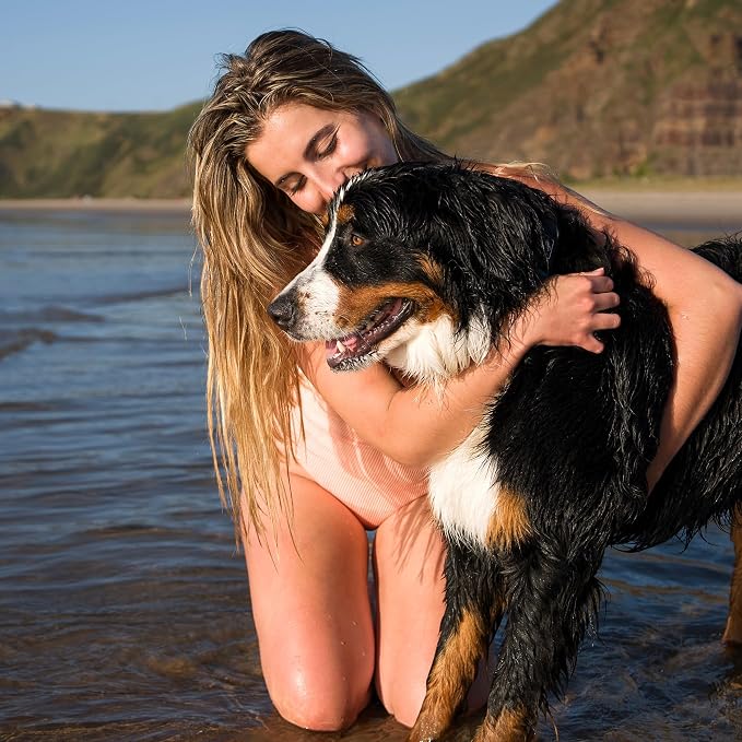 Dog Soothing Dry Shampoo with Probiotics, Helps Refresh Coat Between Baths