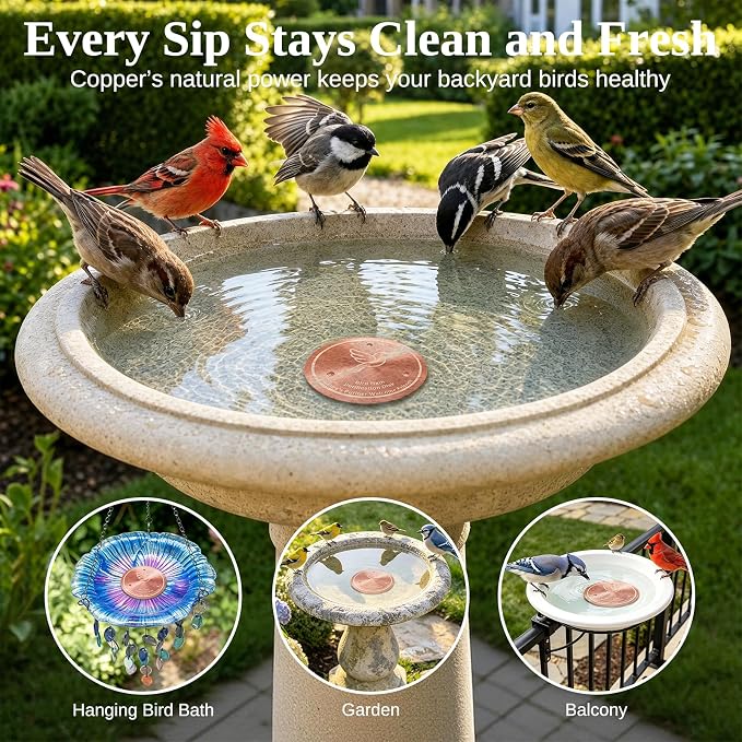 Copper Disc for Bird Bath, 99.9% Pure Copper (Dove) | Triple Point Support, Fits Bird Baths & Bowls, Reduces Mineral Buildup, Gift for Bird Lovers, Outdoor Garden Use