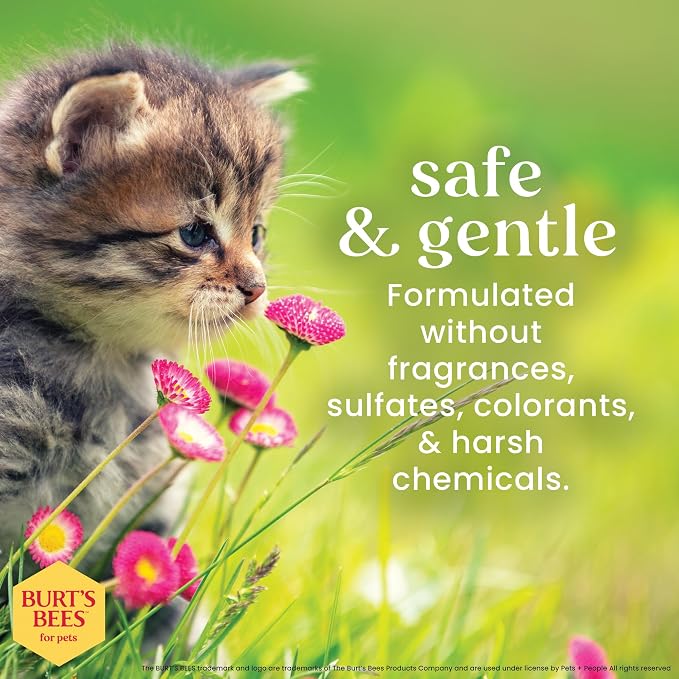 Burt's Bees for Pets Tearless Kitten Shampoo with Buttermilk and Honey, 99% Natural Origin Gentle Cat Shampoo for Sensitive and Itchy Skin, pH Balanced and Fragrance-Free, 10 Fl Oz - 2 Pack