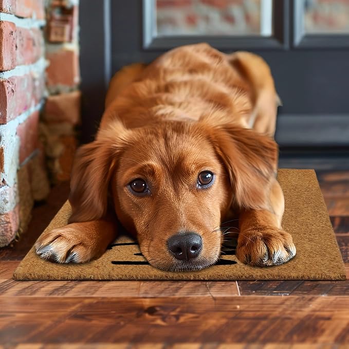 Croft&Cane Welcome Doormat - Evil Eye Coco Coir Door Mat - Non-Slip Dirt Trapping Low Profile Vinyl Backed Front Doormat for Indoor & Outdoor Use - Durable Easy Clean Patio Entryway Mat - 17x30 Inches
