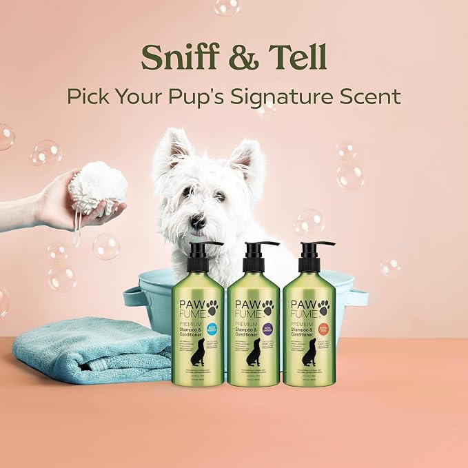 PAWFUME Deshedding Dog Shampoo and Conditioner, Show Dog, 4-Pack – Nourish & Detangle for Silky Soft Coat – Probiotic, Deep-Cleaning, pH-Balanced Formula – Salon-Quality Shampoo for Dogs