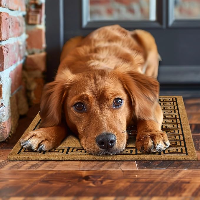 Croft&Cane Welcome Doormat – Non Slip Coco Coir Door Mat with Greek Key Border - Low Profile Vinyl Backed Front Doormat - Indoor Outdoor Entryway Rug - 17 x 30 Inches