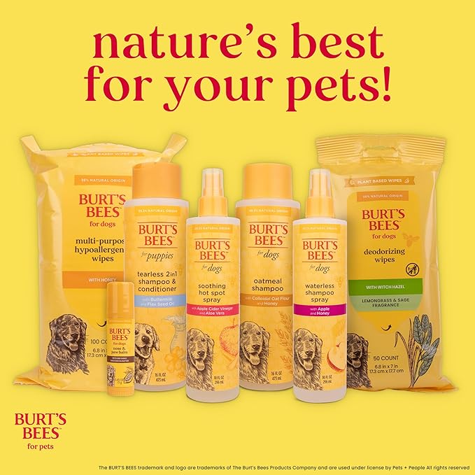 Burt's Bees for Pets Dog Detangling Spray, Natural Leave-In Coat Detangler & Dog Deodorizing Grooming Spray with Lemon, pH Balanced for Dogs, Paraben & Sulfate Free, 10 Fl Oz - 2 Pack