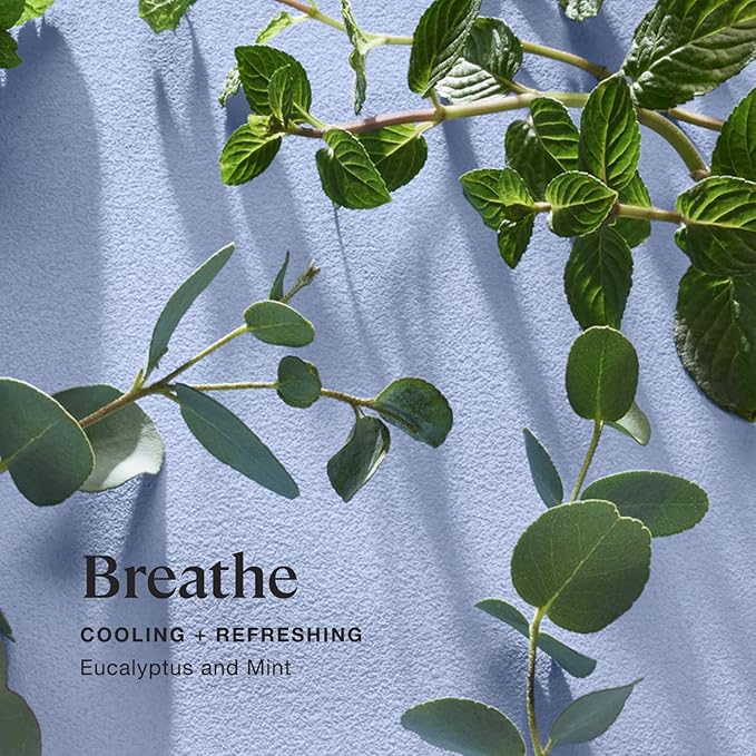 Sprig by Kohler Eucalyptus + Mint Bath Bomb, Natural Botanicals & Premium Skincare Ingredients (Shea Butter, Coconut Oil, & Kaolin Clay) to Cool and Refresh - Breathe (Pack of 2)