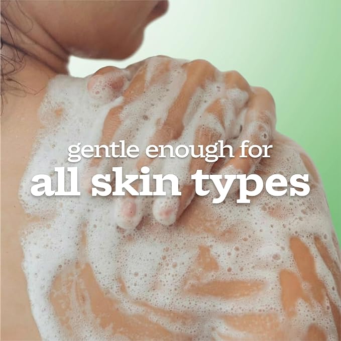 Ivory Gentle Body Wash, Designed for the Whole Family, Free of Dyes Heavy Perfumes Parabens Phthalates & Silicones, Aloe Scent, 35 oz