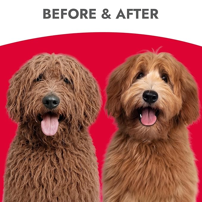 Kong Detangler Spray for Dogs – Cucumber Melon Scent, 16 fl oz – Loosens Knots, Softens & Smooths Coats, Biodegradable, Alcohol-Free, Dye-Free, Cruelty-Free, for Sensitive Skin, Made in USA