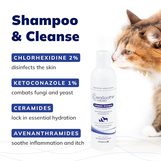 CeraSoothe CHX+KET Antiseptic Shampoo for Dogs, Cats & Horses – Chlorhexidine 2% & Ketoconazole 1% for Skin & Coat Cleansing, 16 oz