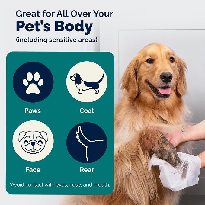 Vetnique Furbliss/Dermabliss Pet Wipes for Dogs & Cats for Grooming, Cleansing & Deodorizing, Thick Dog Wipes for Convenient Dog Cleaning with Natural Deodorizer, 100ct (NEW Refreshing Scent)