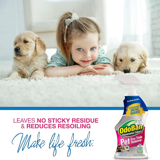 OdoBan Pet Solutions Oxy Stain Remover, Pet Stain Eliminator, Made in the USA, 8-Pack, 32 Ounce Spray Each