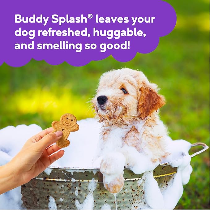 Buddy Splash Spritzer & Conditioner for Dog Grooming, Lavender & Mint, 16 oz. Bottle