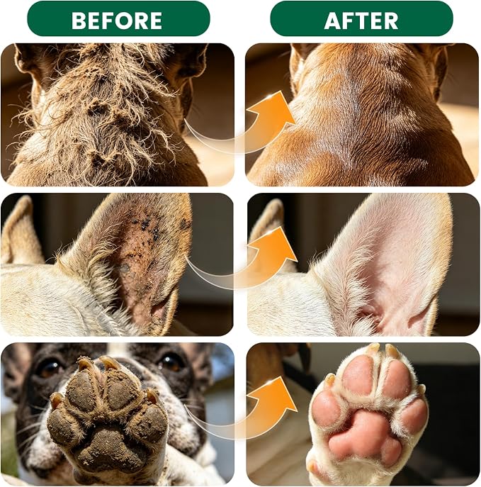 Arme Pet Bath Gloves Wipes for Dogs&Cats Cleaning Glove for Dry Bath,40 Pcs | 9.4"x9.25", 4-in-1 Double-Sided, Coconut Oil&Aloe,No-Rinse, Hypoallergenic, Thickened, Deodorizing, Daily Grooming&Travel