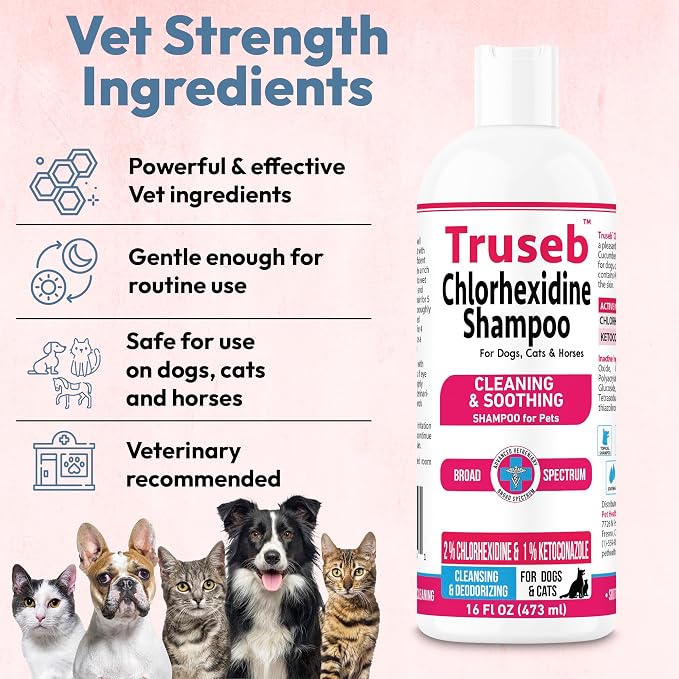 Truseb Topical Ketoconazole and Chlorhexidine Shampoo for Dogs, Cats, and Horses with Aloe - 32 oz (Ketoconazole & Chlorhexidine Shampoo, 32 oz)