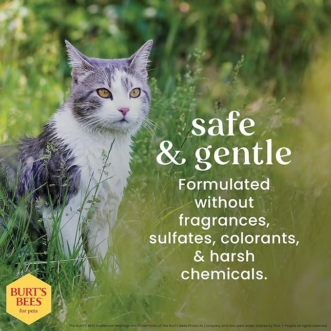Burt's Bees for Pets Cat Dander Remover Wipes, Colloidal Oat Flour and Aloe to Soothe Dry Skin and Reduce Flaking, Unscented Grooming Cloths for Cats and Kittens, 50 Count - 3 Pack