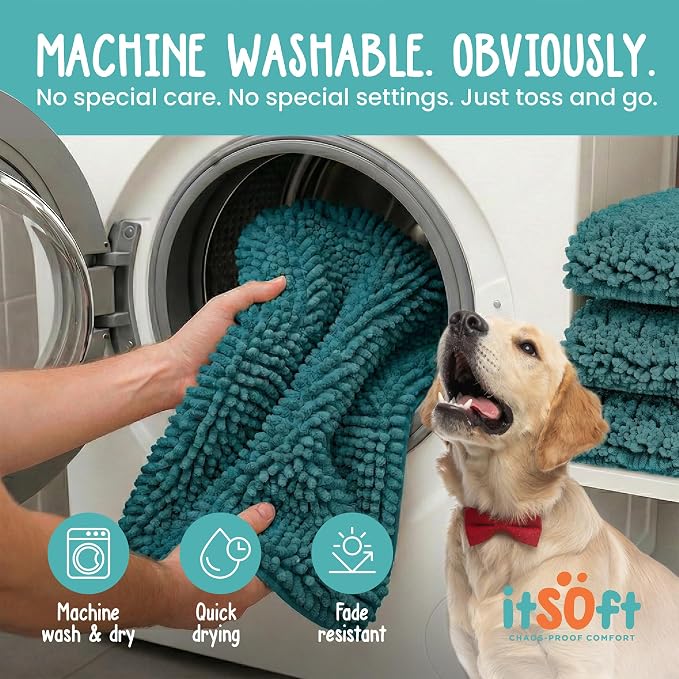 Dog Rugs for Muddy Paws 25x18 | Cleaner Mud Free Floors | Muddy Dogs Mats for Indoor, Dog Mat for Muddy Paws Door Mat Washable, Absorbent Chenille Mud Room Rug Paw Matt w/ Non Slip Backing, Teal