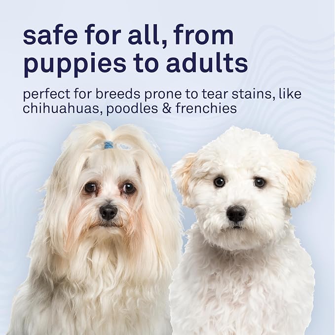 Petpost Tear Stain Remover Soft Chews for Dogs | 90 Count Cheese Flavor Dog Tear Stain Support Supplement | Gentle Eye Care for White Dogs & Light Breeds | Tylosin Free, Made in USA