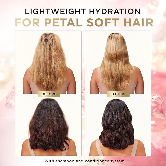 Pantene Nutrient Blends Miracle Moisture Boost Rose Water Shampoo & Conditioner Dual Pack for Dry Hair, Sulfate Free (Pack of 4)