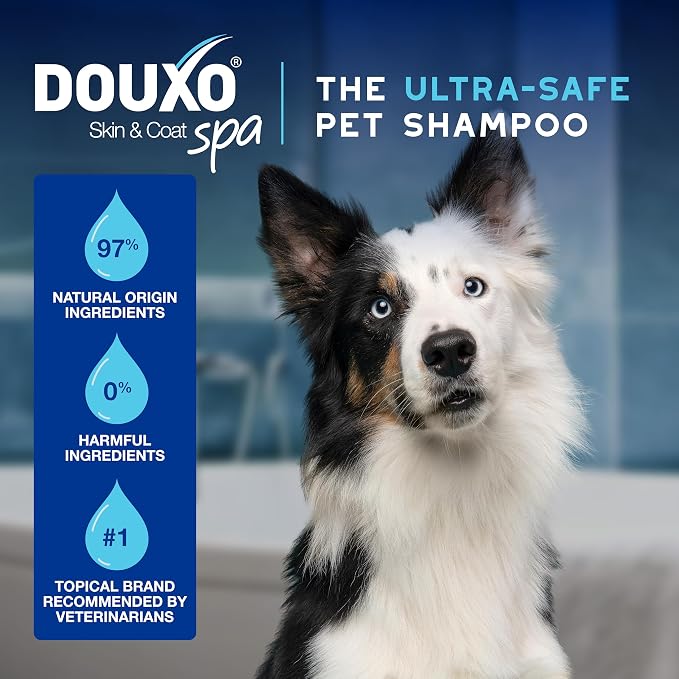 DOUXO SPA Waterless Dog Shampoo, 10 fl oz, Leave-On Mousse, Cleans and Refreshes, Leaves the Coat Soft, Radiant and Smelling Great, Ultra-Safe Formula