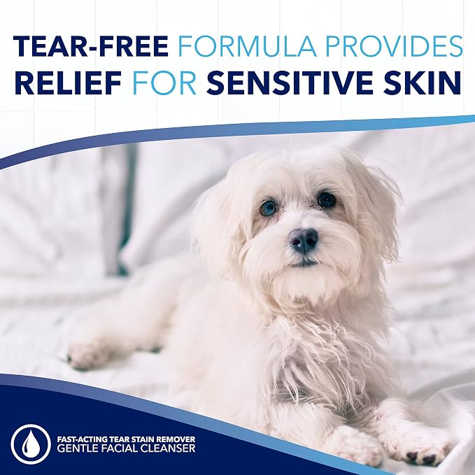 TropiClean Oxymed Tear Stain Remover for Dogs & Cats, Tearless Around The Eye Cleaner for Dogs & Cats 8 Ounce