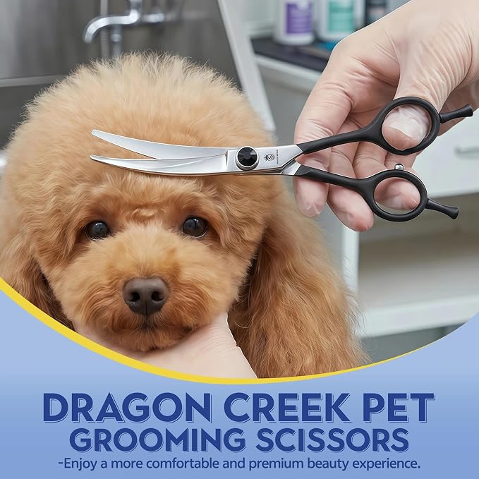 Dragon Creek 6" Upward Curved Dog Grooming Scissors Shears for Grooming Face and Paws Safety Shears Trimming Cutting Scissors for Dog Cat Pet Christmas Thanksgiving Gift Black