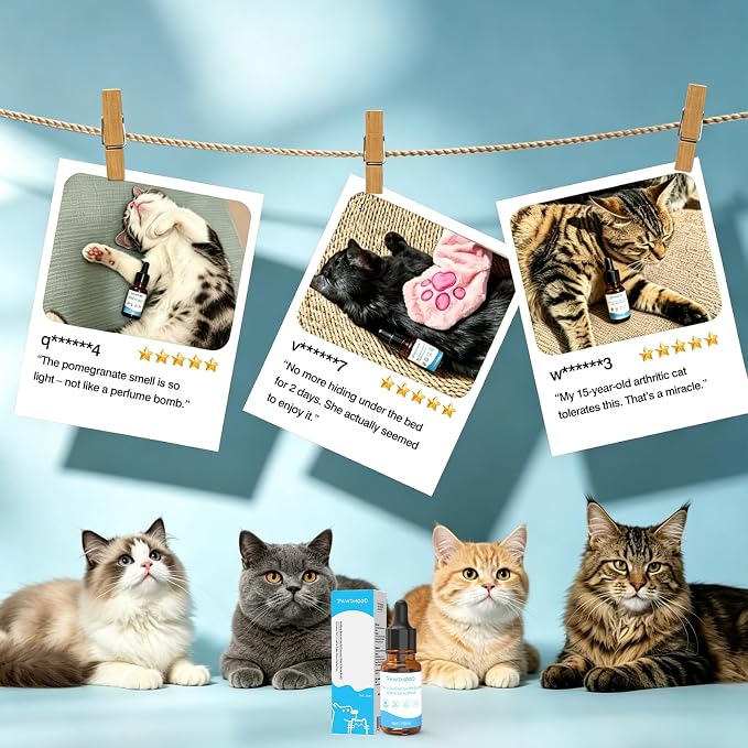 Cat Shampoo Waterless No-Rinse Concentrated – for Cats Dogs Pets Afraid of Baths | Indoor Use, No Blow-Dry, Travel Portable | Soothes Skin, Hydrates, Pomegranate | 0.34 oz