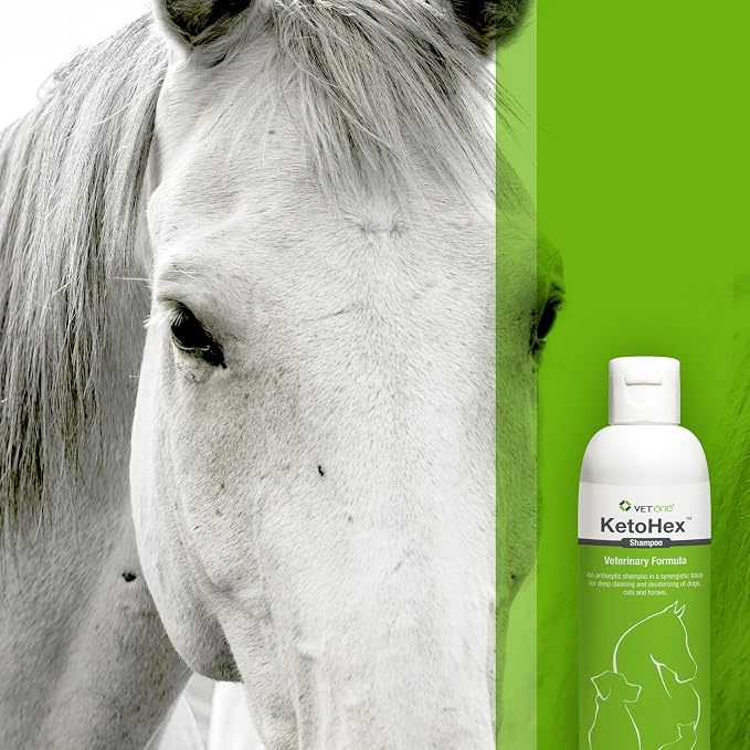 Vet One Shampoo, 8 oz