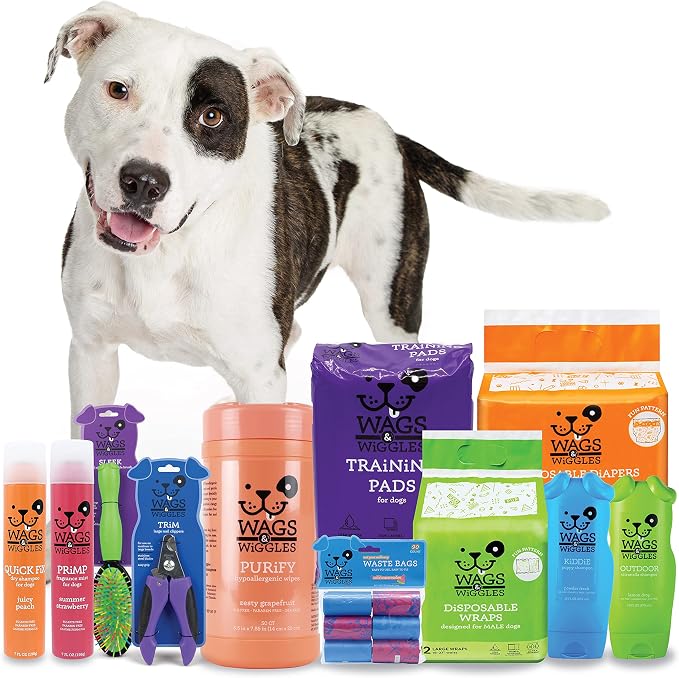 Wags and Wiggles Freshen Deodorizing Wipes for Dogs, Fresh Strawberry Scent - Dog Wipes that Eliminate Odors Between Baths, Easy at-Home Grooming, Dogs and Puppies, 100 Count (Pack of 2)