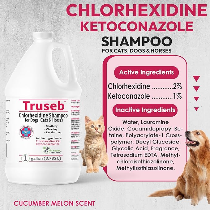 Truseb Chlorhexidine Shampoo for Dogs Cats & Horses with Aloe Vera - Medicated Dog ketoconazole Shampoo and Conditioner- Chlorhexidine for Dogs - Skin Irritation, Hot Spots, Redness Relief (1 Gallon)