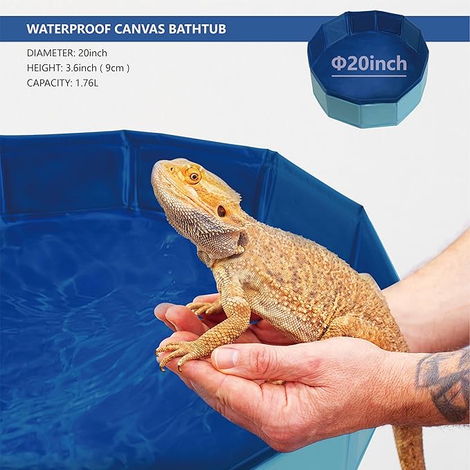 Bearded Dragon Foldable Bath Pool with Bath Brush, Bathrobe, Towel, Spray Pot and Tweezer, for Puppy Small Dogs Cats (Blue, 20 x 3.6inch)