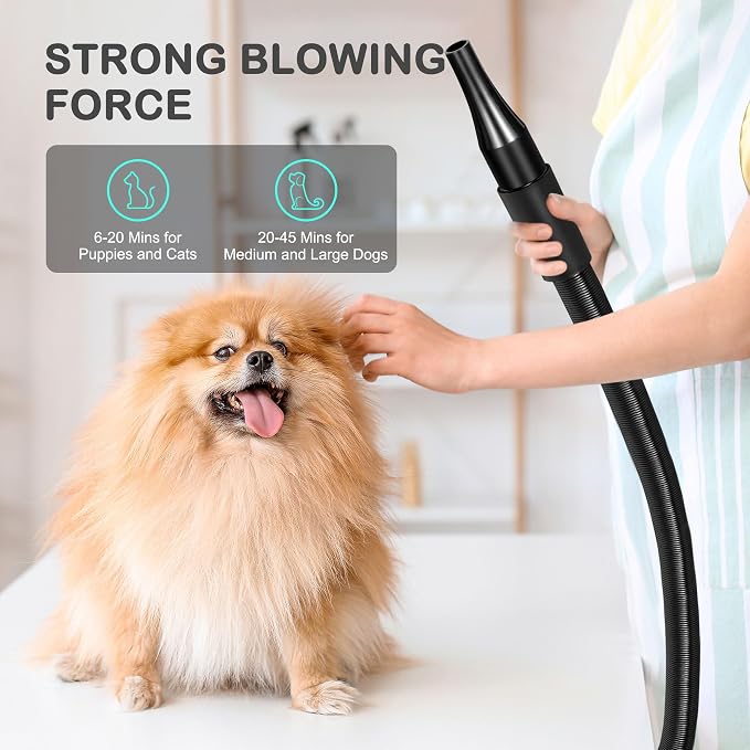 Nova Microdermabrasion High Velocity Pet Hair Force Dryer, Professional Pet Grooming Blower with 3 Nozzles Heater Air Speed for Grooming