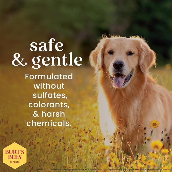 Burt's Bees for Pets Dog Detangling Spray, Natural Leave-In Coat Detangler & Dog Deodorizing Grooming Spray with Lemon, pH Balanced for Dogs, Paraben & Sulfate Free, 10 Fl Oz - 6 Pack