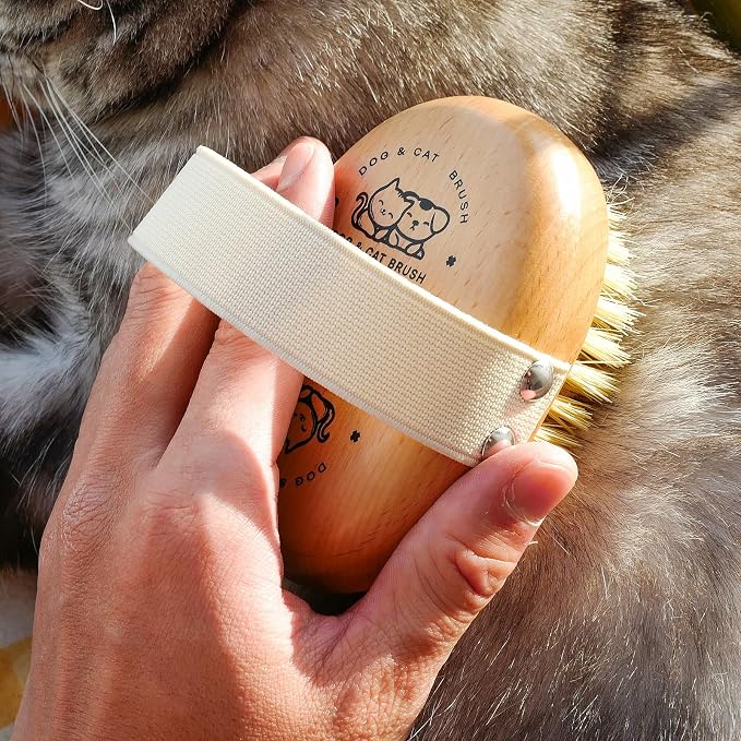 Soft Dog Brush, Bristle Brush for Dog Grooming | Dog Palm Brush, Gentle Grooming, For Small & Large Dogs, Wood handle